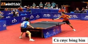 Cá Cược Bóng Bàn