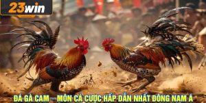 Đá Gà Cam