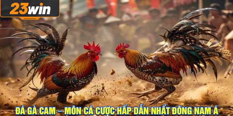 Đá Gà Cam